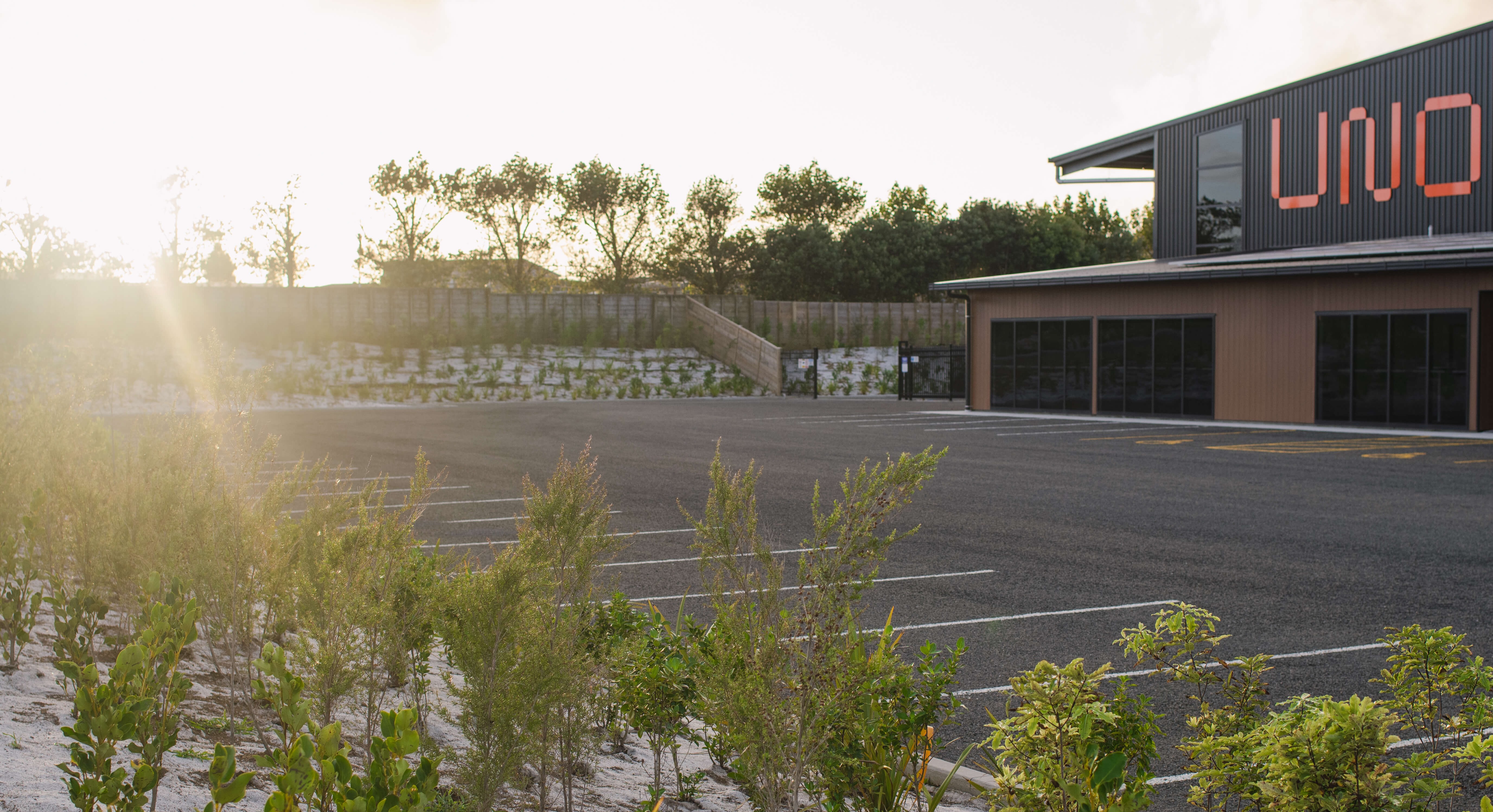 Native trees planted outside UNO's energy efficient building
