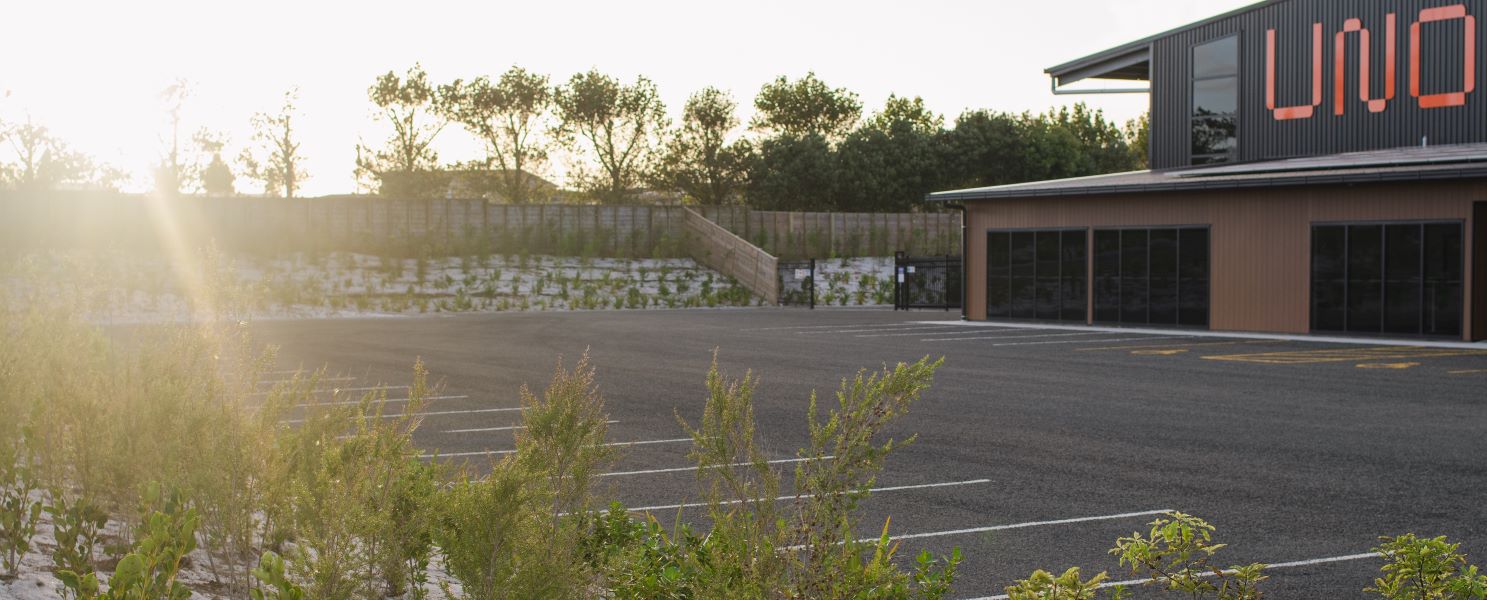 Native trees planted outside UNO's energy efficient building